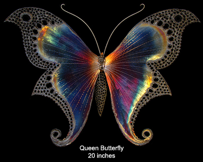 Queen Butterfly, 20 inches wide